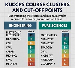 Infographic of KUCCPS courses and cut-off points